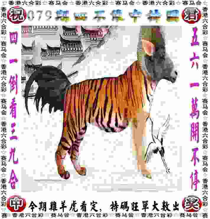 华奇巴托 vs 希金斯：智利甲的精彩对决！